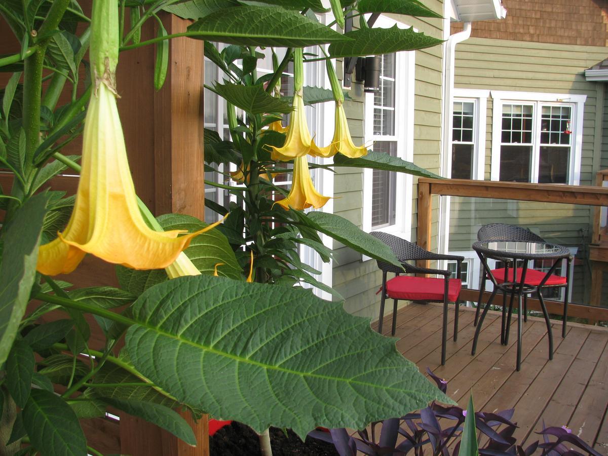 غرانبي Gi'Temps Couette Et Cafe B&B المظهر الخارجي الصورة